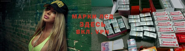 мяу мяу мука Елизово