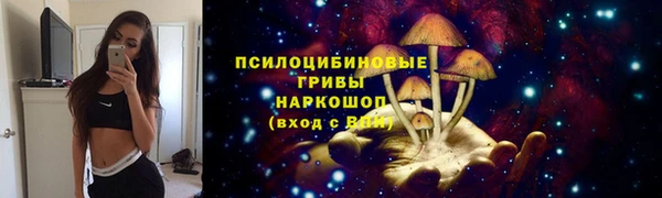 ПСИЛОЦИБИНОВЫЕ ГРИБЫ Сосновый Бор