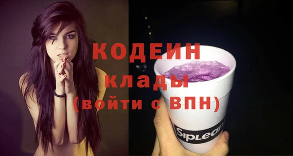 мяу мяу мука Елизово