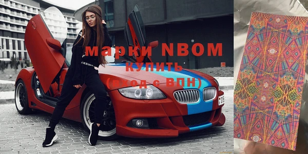амф Новозыбков