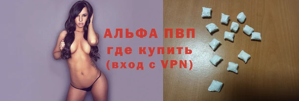 амф Новозыбков
