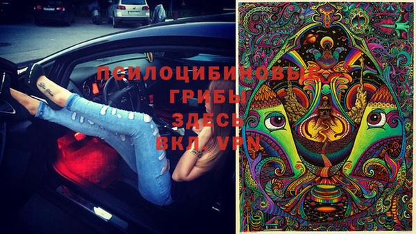 мяу мяу мука Елизово