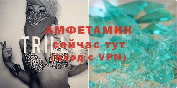 ПСИЛОЦИБИНОВЫЕ ГРИБЫ Сосновый Бор