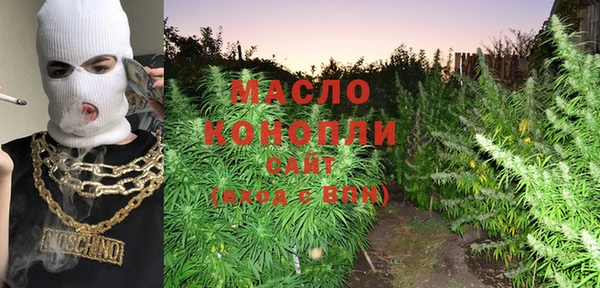 амф Новозыбков