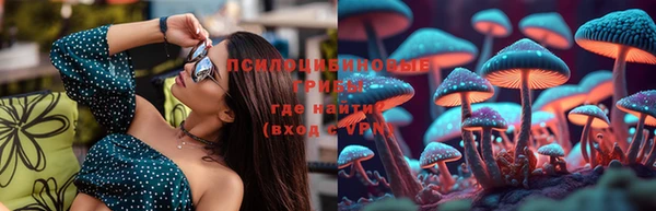 мяу мяу мука Елизово