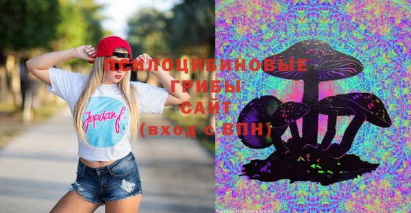 мяу мяу мука Елизово
