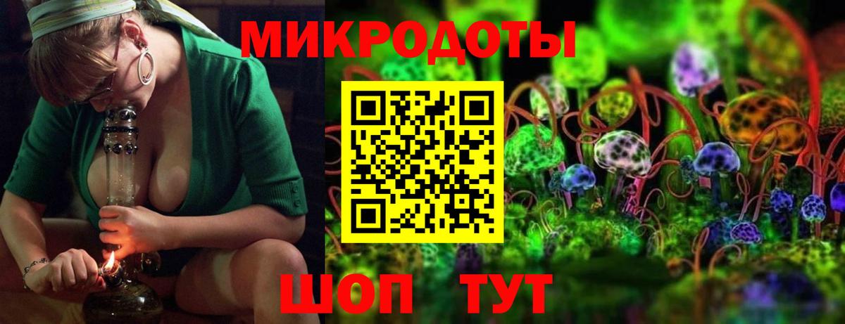 Галлюциногенные грибы MAGIC MUSHROOMS  купить закладку  Рузаевка  Галлюциногенные грибы Psilocybine cubensis 